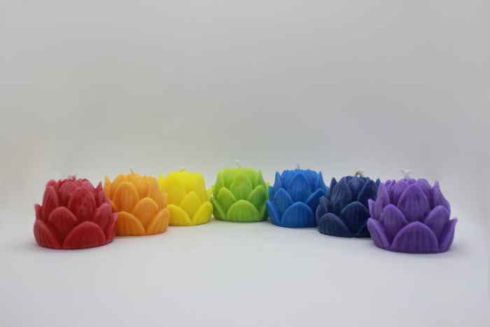 7 chakras lotus
